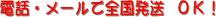 �d�b�P�{�őS������ �n�j�I