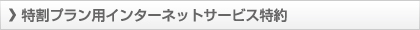 特割プラン用インターネットサービス特約