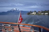 �V���D���猩���s���g�D�X�R