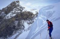 �X�̘I�o�����X��