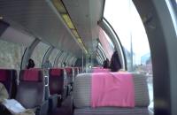 ���ۗ�ԁg���[�� �V�e�B�h