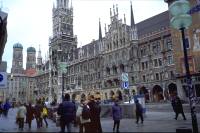 �~�����w���V�s����