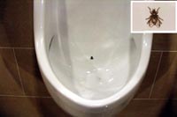 �N���b�N�g��