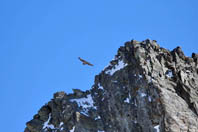 �N���b�N�g��