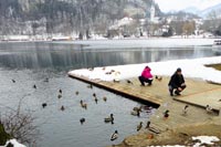 �N���b�N�g��