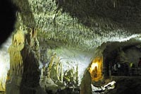 �N���b�N�g��