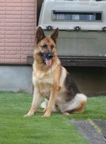 toni 6 years old 