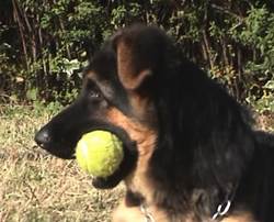 andy play with ball at 14 weeks