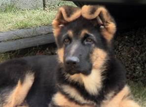 andy face at 11weeks