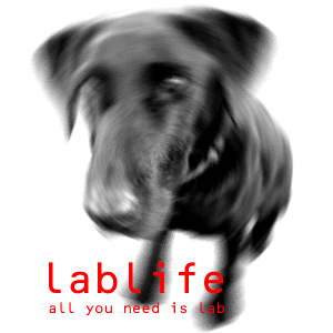 lablife