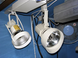 �����(inv_04.jpg)