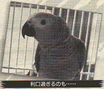 060216_shukansincho3