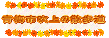 ~s̎U