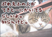 適当に書いてるよ。
