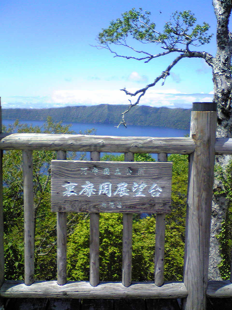 DVC00181