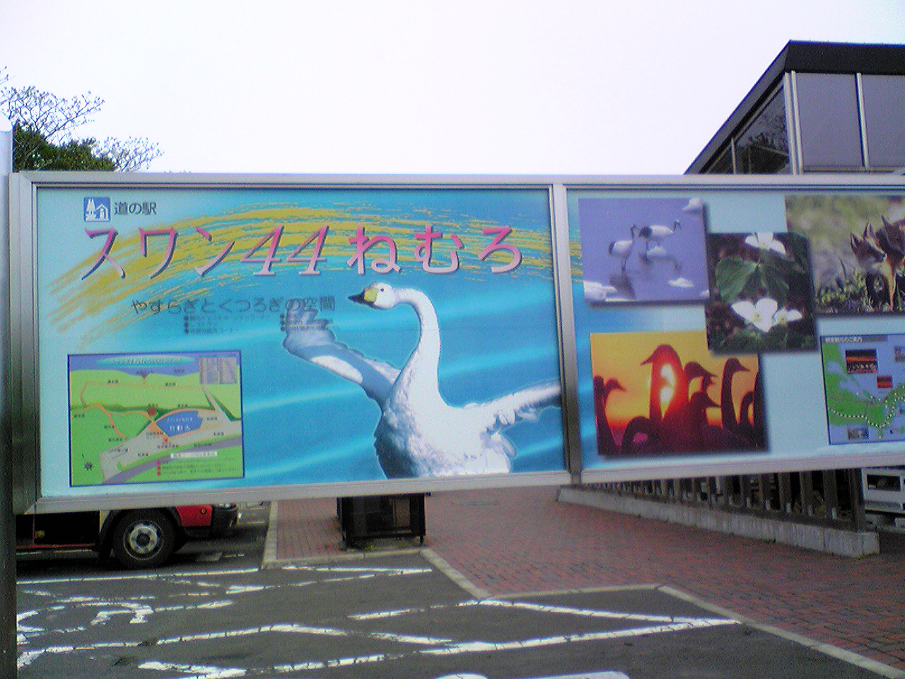 DVC00313