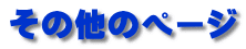 ̑̃y[W